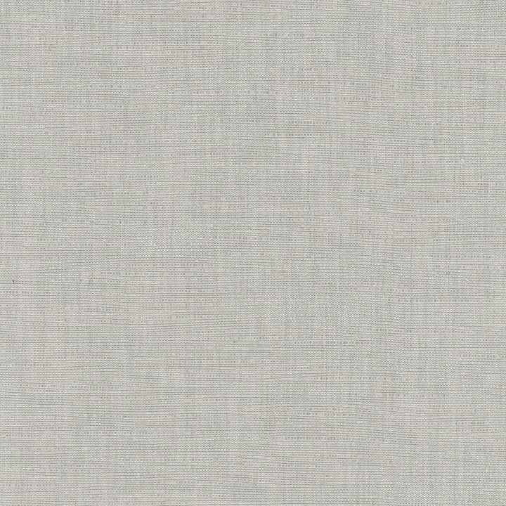 Athlete Sterling by Carole Fabric Pewter 60% Cotton, 40% Polyester India Passes 50,000 Double Rubs Wyzenbeek Horizontal: 0 and Vertical: 0 55 - Fabric Carolina -