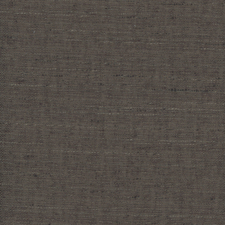 Foreseeable Cocoa by Carole Fabric Chestnut 100% Polyester India N/A Horizontal: 0 and Vertical: 0 54 - Fabric Carolina -