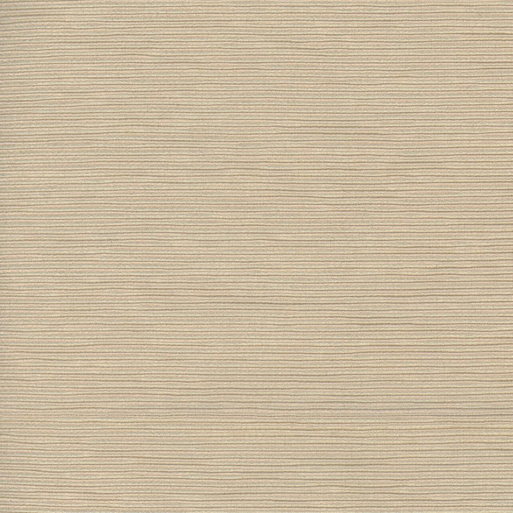 First Novel Wafer by Carole Fabric Stationery 72% Rayon, 28% Polyester China Passes 30,000 Double Rubs Wyzenbeek Horizontal: 0 and Vertical: 0 55 - Fabric Carolina -