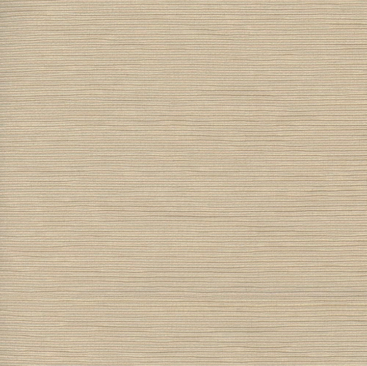 First Novel Wafer by Carole Fabric Stationery 72% Rayon, 28% Polyester China Passes 30,000 Double Rubs Wyzenbeek Horizontal: 0 and Vertical: 0 55 - Fabric Carolina -
