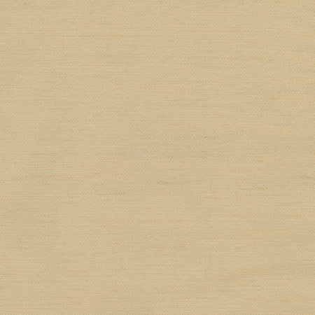 Rumi Camel by Carole Fabric Gala 100% Polyester India  None 54"  - Fabric Carolina -