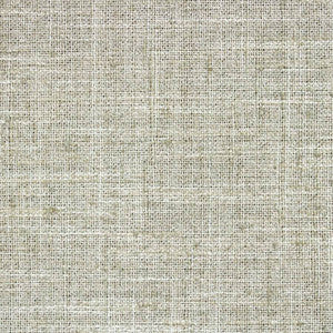 Consultant Rain by Carole Fabric