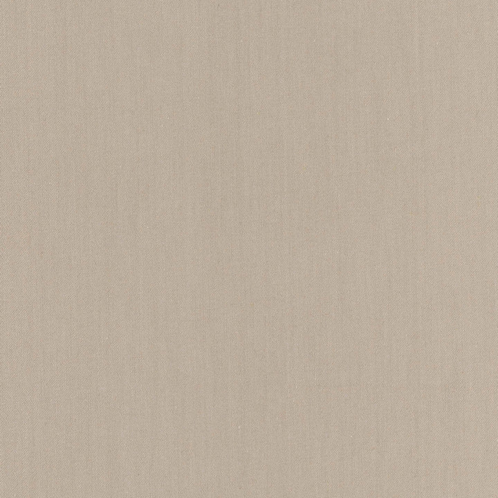 Comfort Teak by Carole Fabric Daydreaming 100% Cotton India Passes 21,000 Double Rubs Wyzenbeek Horizontal: 0 and Vertical: 0 54 - Fabric Carolina -