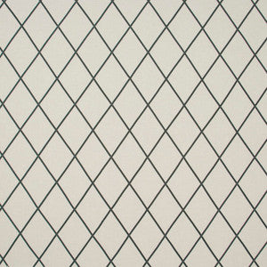 Crossed Off Camel by Carole Fabric
