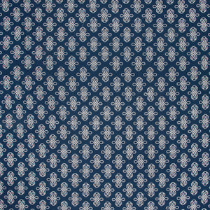 Curvacious Nautical by Carole Fabric