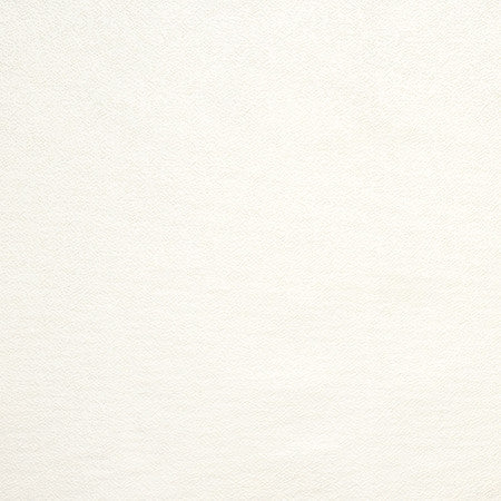 Gravel Path Cream by Carole Fabric State Of The Art 100% Polyester INDIA  None 54"  - Fabric Carolina -