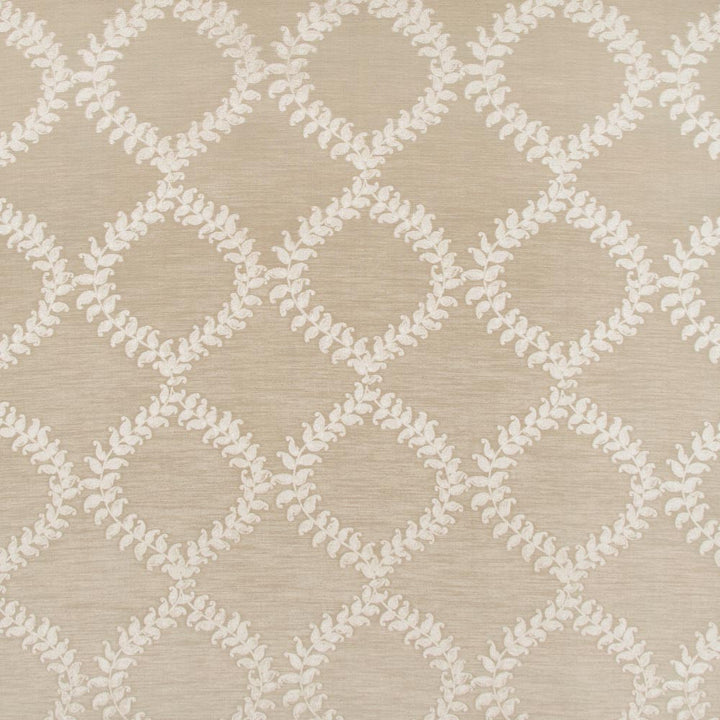 One Morning Latte by Carole Fabric Coconut Cream 67% Polyester, 33% Cotton India Passes 30,000 Double Rubs Wyzenbeek Horizontal: 9 and Vertical: 95 54 - Fabric Carolina -