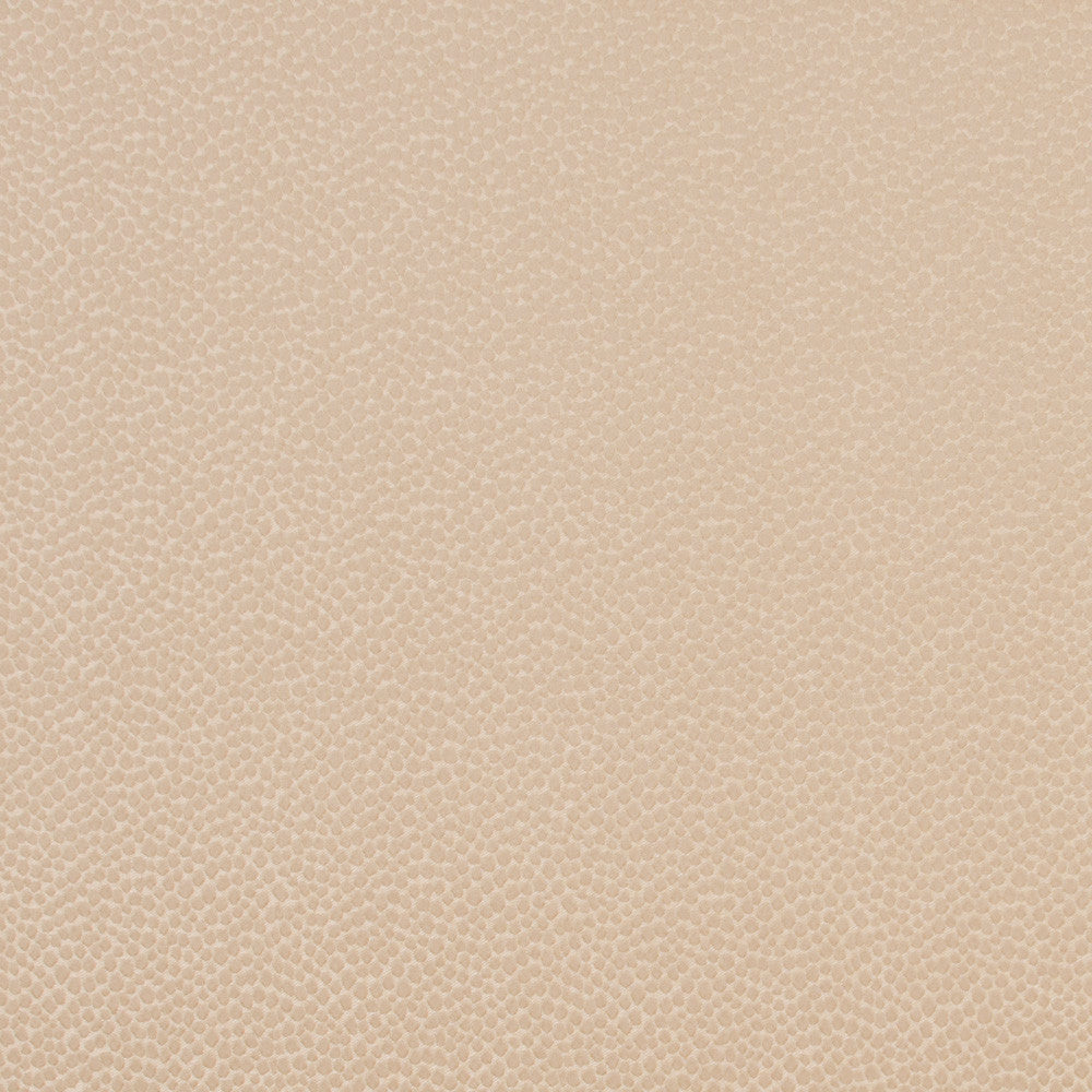 Armadillo Gilded by Carole Fabric Jungle Safari 100% Polyester India N/A Horizontal: 0 and Vertical: 0 54 - Fabric Carolina -