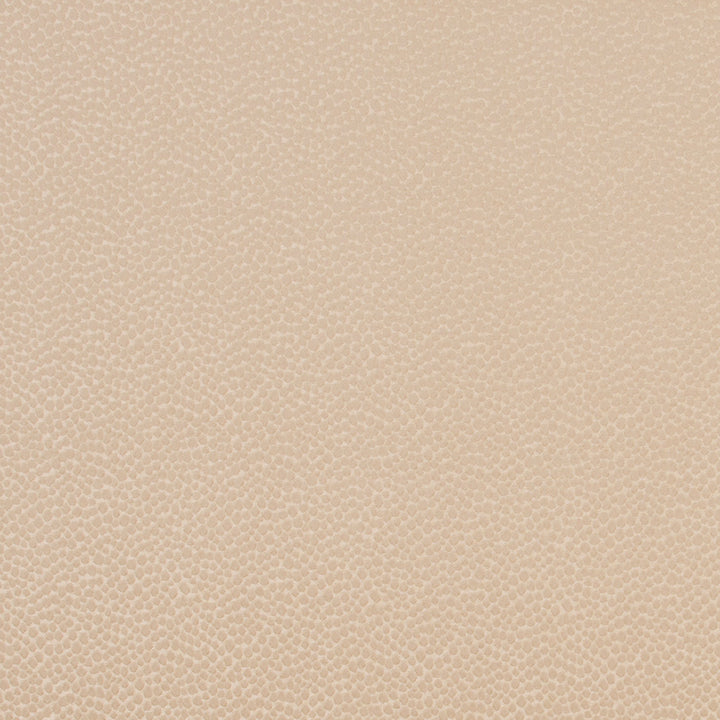 Armadillo Gilded by Carole Fabric Jungle Safari 100% Polyester India N/A Horizontal: 0 and Vertical: 0 54 - Fabric Carolina -