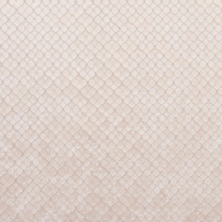 Make A Splash Moonstone by Carole Designer Fabric Skyscraper 100% Polyester India 1 1/2" V, 1 1/2" H 54" - Swanky Fabrics -