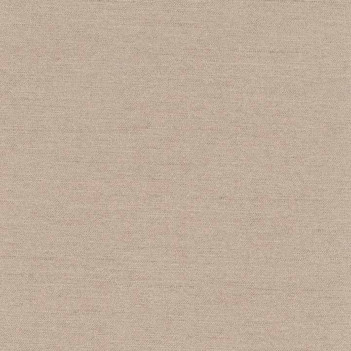 Northwind Owl by Carole Fabric New Northwind Iv 100% Polyester India Passes 9,000 Double Rubs Wyzenbeek Horizontal: 0 and Vertical: 0 54 - Fabric Carolina -
