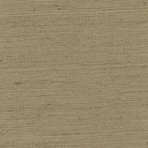 Aiden Walnut by Carole Fabric
