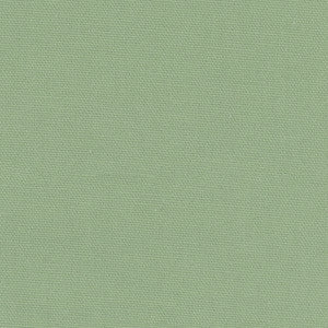 Daydreamer Seafoam by Carole Fabric