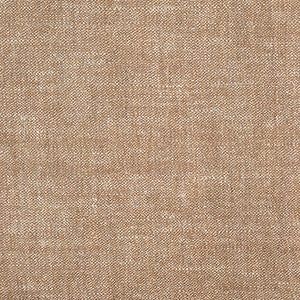Wycliffe Camel by Carole Fabric