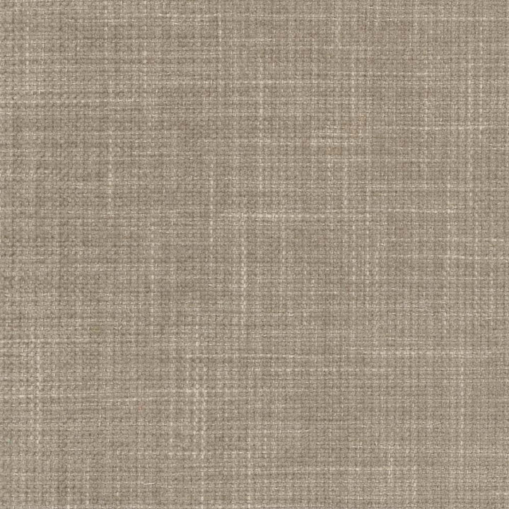 Temptress Mushroom by Carole Fabric Temptress 78% Polyester, 22% Cotton India Passes 100,000 Double Rubs Wyzenbeek Horizontal: 0 and Vertical: 0 54 - Fabric Carolina -