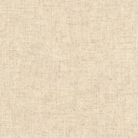 SHERIFF LINEN by Carole Fabric Arlyn,Toasted Almond 36% COTTON, 30% POLYESTER, 17% VISCOSE, 17% LINEN INDIA Passes 30,000 Double Rubs Wyzenbeek NONE 54"  - Fabric Carolina -