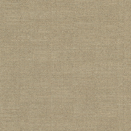 Cortland Fawn by Carole Fabric Gala 100% Polyester India 30,000 WYZENBEEK DOUBLE RUBS None 54.75"  - Fabric Carolina -