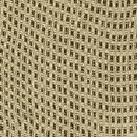 Fleeting Cashew by Carole Fabric Royale 100% Polyester India Passes 50,000 Double Rubs Wyzenbeek Horizontal: None and Vertical: None 54" - Fabric Carolina -