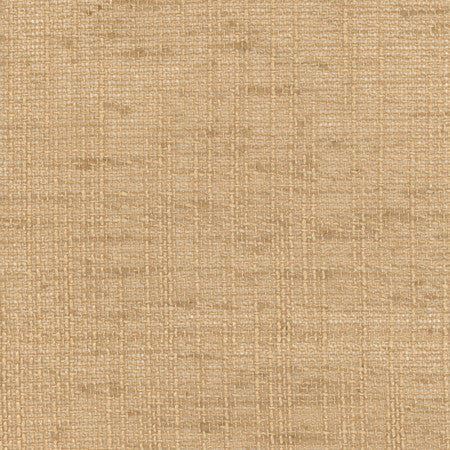 Slow Down Granola by Carole Fabric COME HOME,See It Through 100% Polyester India  None 54"  - Fabric Carolina -