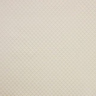 Contemplation Ivory by Carole Designer Fabric Silver Screen 100% Polyester China Passes 15,000 Double Rubs Wyzenbeek </p><p>Repeat: NONE 55" - Swanky Fabrics -