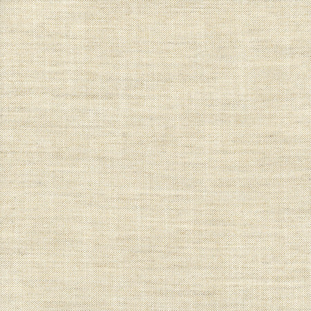 Hand Holder Light Oatmeal by Carole Fabric Alliance 100% Polyester India N/A None 54""  - Fabric Carolina -