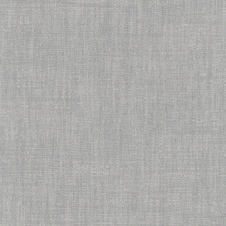 Athlete Concrete by Carole Fabric Pewter 60% Cotton, 40% Polyester India Passes 50,000 Double Rubs Wyzenbeek None 55"  - Fabric Carolina -