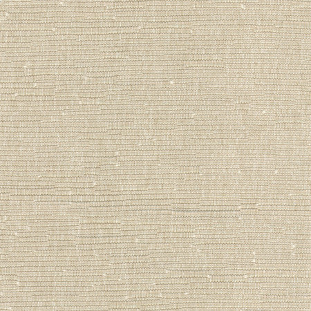 Fitz Latte by Carole Fabric Let's Mingle 52% Cotton, 48% Polyester Taiwan  None 54"  - Fabric Carolina -