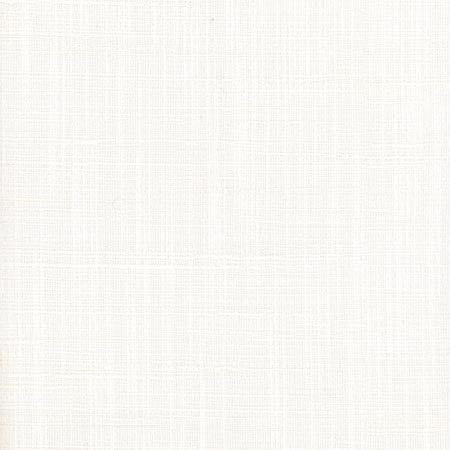 Totally Relaxed Off White by Carole Fabric COME HOME 90% Polyester, 10% Cotton India N/A None 54"  - Fabric Carolina -