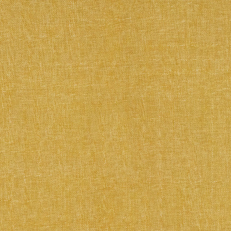 Business Casual Flora by Carole Fabric Power Play 100% Polyester 100,000 Wyzenbeek Double Rubs None 54" - Fabric Carolina -