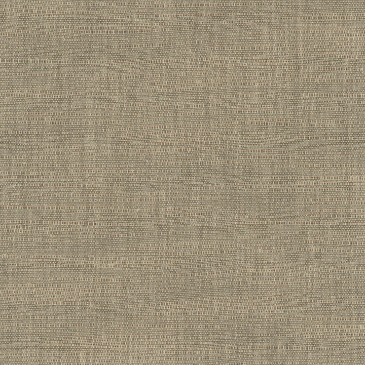 Athlete Taupe by Carole Fabric Chestnut 60% Cotton, 40% Polyester India Passes 50,000 Double Rubs Wyzenbeek Horizontal: 0 and Vertical: 0 55 - Fabric Carolina -