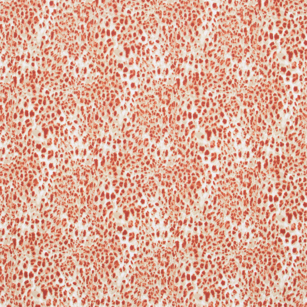 Spotted All Over Sienna by Carole Fabric Jungle Safari 100% Cotton India Passes 30,000 Double Rubs Wyzenbeek Horizontal: 13.75 and Vertical: 13.5 54 - Fabric Carolina -