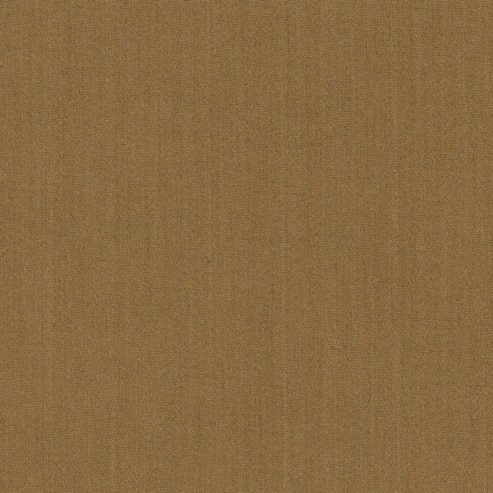 Tempt Saddle by Carole Designer Fabric Royale 100% IFR Polyester India Passes 45,000 Double Rubs Wyzenbeek Horizontal: 0 and Vertical: 0 54 - Swanky Fabrics -