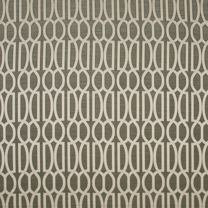 Double Coverage Coal by Carole Fabric Modern Castle 74% POLYESTER, 26% VISCOSE INDIA Passes 15,000 Double Rubs Wyzenbeek Horizontal: 45 and Vertical: 925 55 - Fabric Carolina -