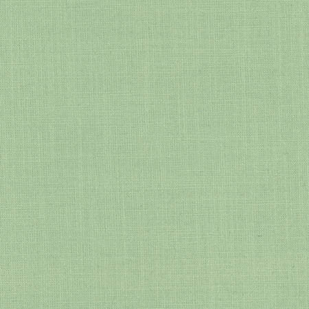 Grateful Celadon by Carole Designer Fabric Grateful 70% Viscose, 30% Linen India None 55.5" - Swanky Fabrics -