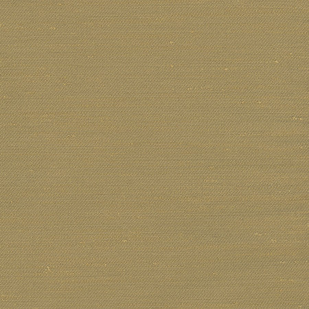 Rumi Amber by Carole Fabric Gala 100% Polyester India  None 54"  - Fabric Carolina -
