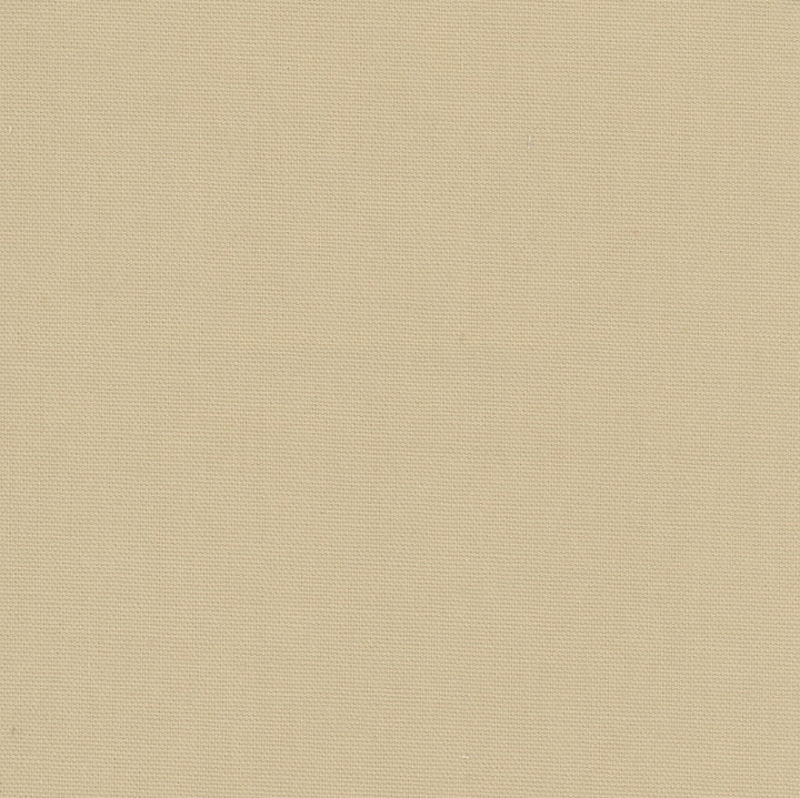 Daydreamer Sandstone by Carole Fabric Daydreaming 100% Cotton- Soil Release USA Passes 30,000 Double Rubs Wyzenbeek Horizontal: 0 and Vertical: 0 54 - Fabric Carolina -