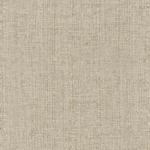 Plush Textures Dune by Carole Fabric