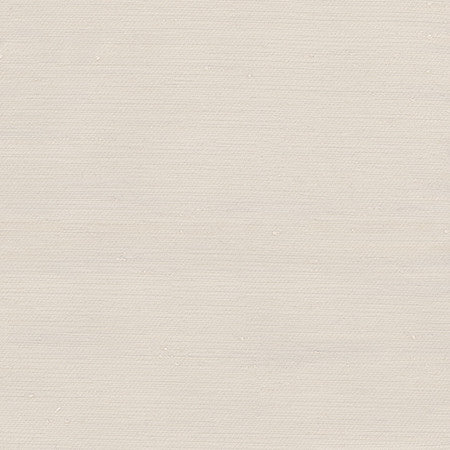 Rumi Oyster by Carole Fabric Gala 100% Polyester India  None 54"  - Fabric Carolina -