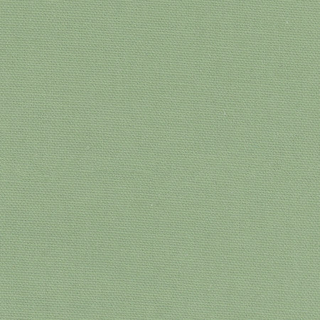 Daydreamer Seafoam by Carole Designer Fabric Daydreaming 100% Cotton- Soil Release USA Passes 30,000 Double Rubs Wyzenbeek Horizontal: None and Vertical: None 54" - Swanky Fabrics -