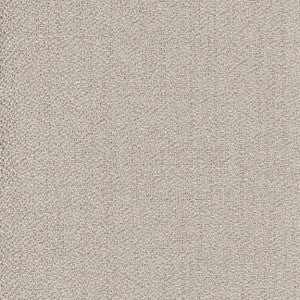 Dream It Pewter by Carole Fabric