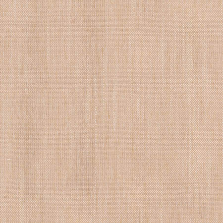 Aerial Blush by Carole Designer Fabric Sunbaked 100% Polyester INDIA 50,000 Wyzenbeek Double Rubs None 54" - Swanky Fabrics -