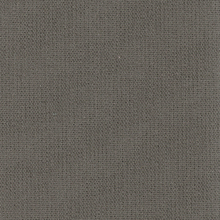 Daydreamer Gunmetal by Carole Fabric Daydreaming 100% Cotton- Soil Release USA Passes 30,000 Double Rubs Wyzenbeek Horizontal: 0 and Vertical: 0 54 - Fabric Carolina -