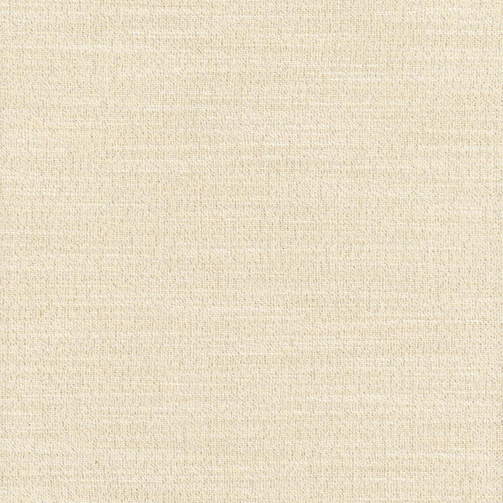 Say Yes Twilight by Carole Fabric Winner'S Circle 78% Polyester, 22% Viscose India N/A Horizontal: 0 and Vertical: 0 55 - Fabric Carolina -