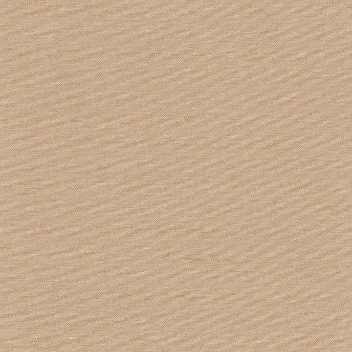 Northwind Almond by Carole Fabric New Northwind Iv 100% Polyester India Passes 9,000 Double Rubs Wyzenbeek Horizontal: 0 and Vertical: 0 54 - Fabric Carolina -