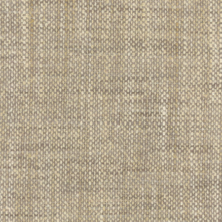 El Sol Flannel by Carole Fabric Head Start 100% Polyester India  None 55"  - Fabric Carolina -