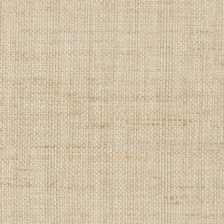 Breather Linen by Carole Fabric Synchrony 100% Polyester Turkey 30,000 Wyzenbeek Double Rubs </p><p>Repeat: None 54" - Fabric Carolina -