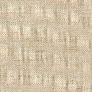 Breather Linen by Carole Fabric