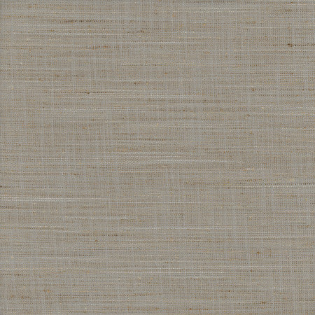 There For You Stone by Carole Designer Fabric Alliance 100% Polyester India None 55"" - Swanky Fabrics -