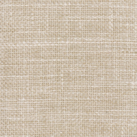 Lazarus Alabaster by Carole Fabric Prominence 54% Cotton, 46% Polyester India N/A </p><p>Repeat: None 54" - Fabric Carolina -