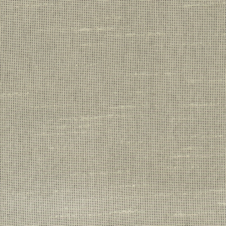 Fleeting Sand by Carole Fabric Royale 100% Polyester India Passes 50,000 Double Rubs Wyzenbeek Horizontal: 0 and Vertical: 0 54 - Fabric Carolina -